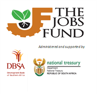 We Created Jobs and Impact