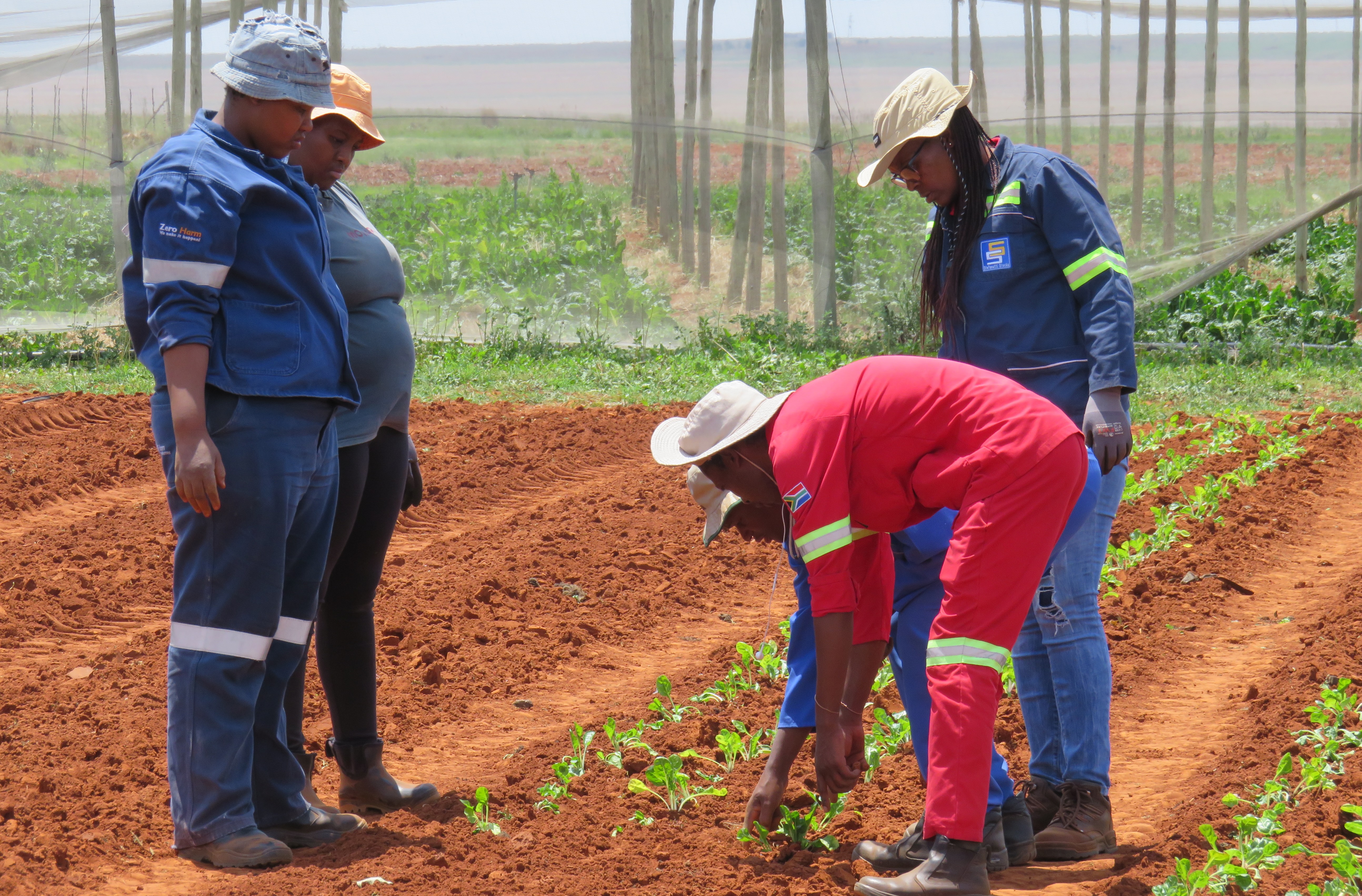 On-farm mentoring session