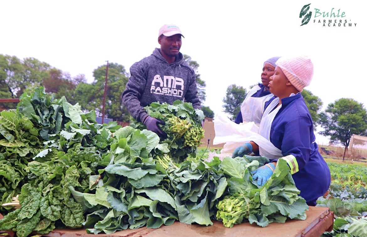 Hands-on farm training