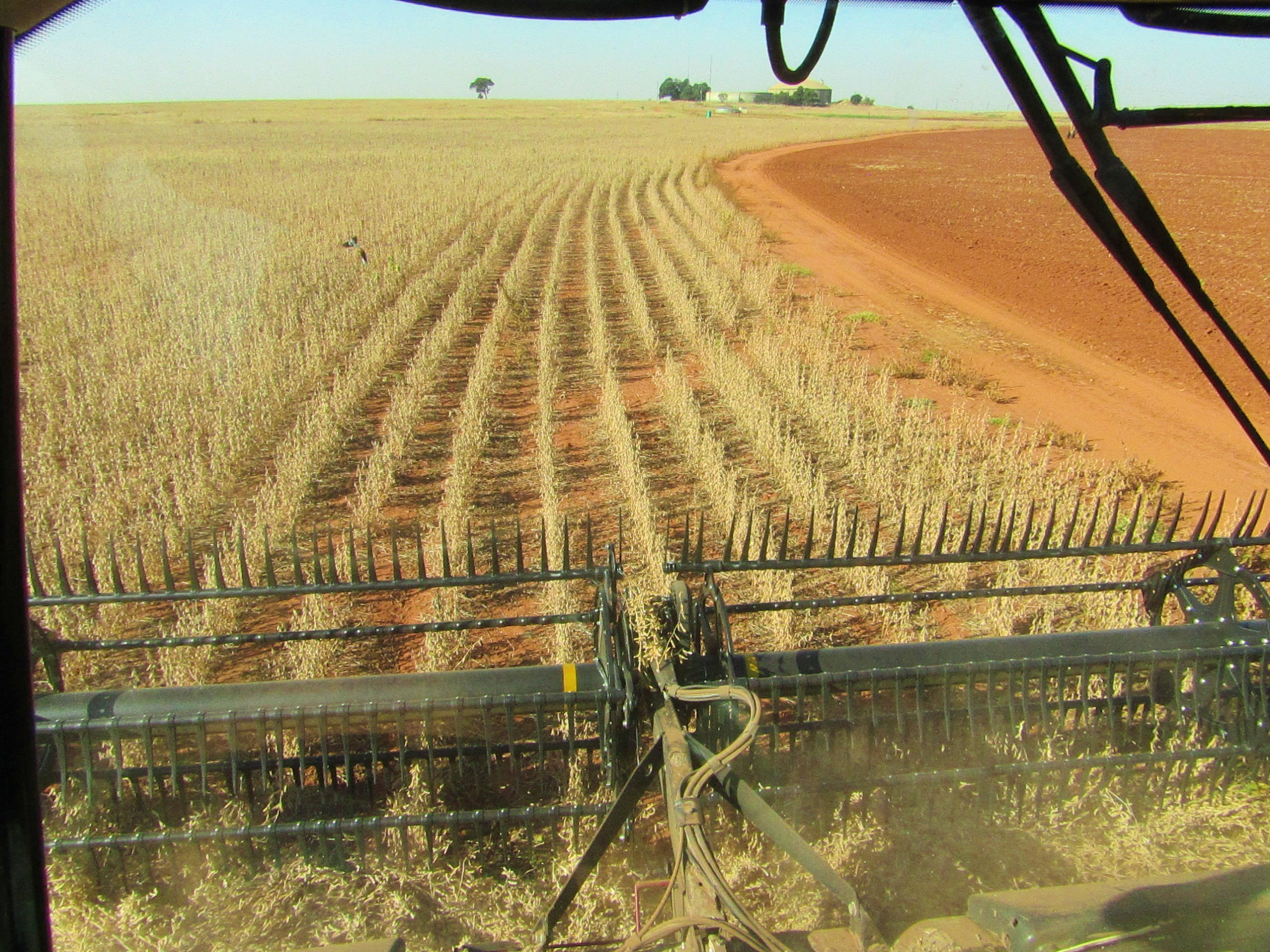 Grain Crop Production